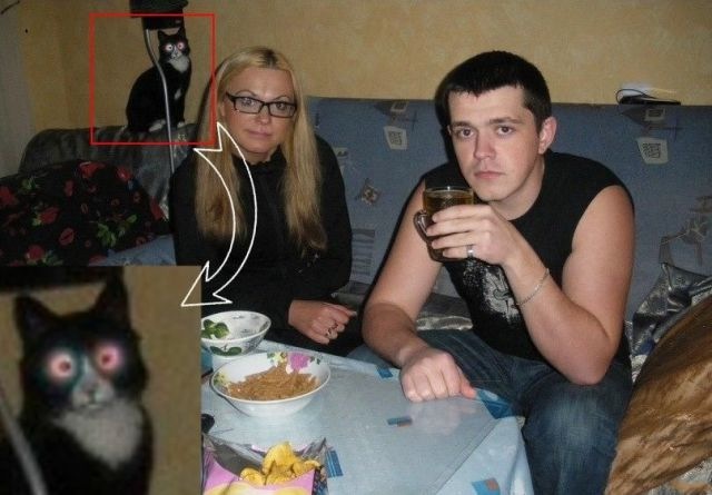 Bildschirmarbeiter - Picdump 22.04.2011