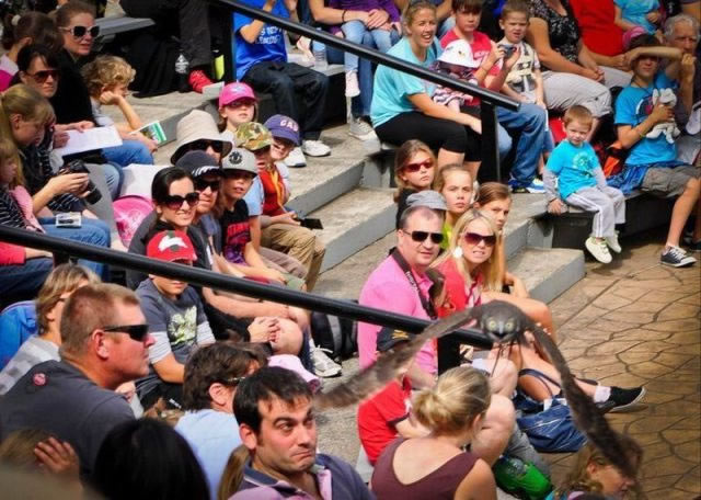 Bildschirmarbeiter - Picdump 29.04.2011