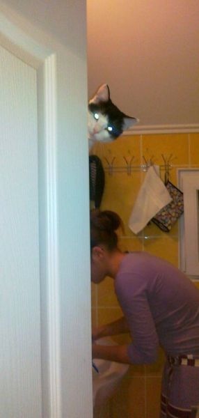 Bildschirmarbeiter - Picdump 29.04.2011