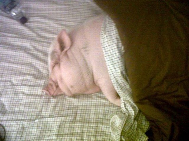 Bildschirmarbeiter - Picdump 29.04.2011