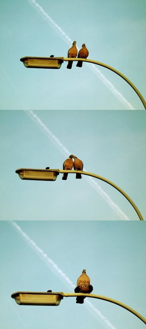 Bildschirmarbeiter - Picdump 06.05.2011