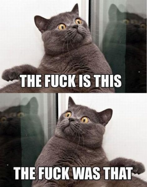 Bildschirmarbeiter - Picdump 06.05.2011