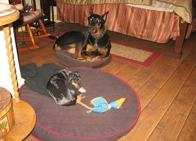 Bildschirmarbeiter - Picdump 06.05.2011