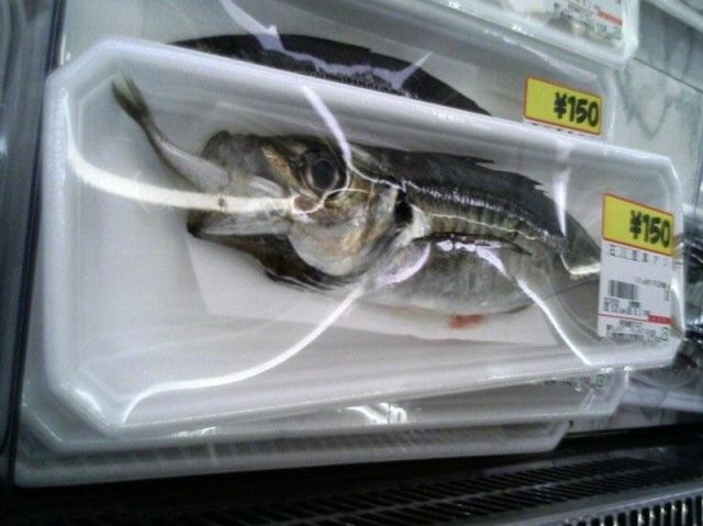 Bildschirmarbeiter - Picdump 13.05.2011