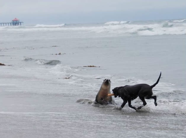 Bildschirmarbeiter - Picdump 13.05.2011