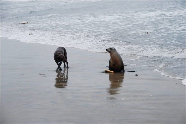 Bildschirmarbeiter - Picdump 13.05.2011