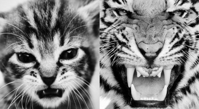 Bildschirmarbeiter - Picdump 13.05.2011