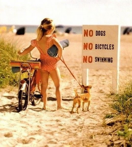 Bildschirmarbeiter - Picdump 13.05.2011