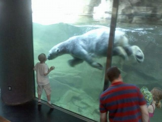 Bildschirmarbeiter - Picdump 13.05.2011