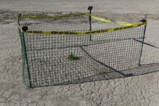 Bildschirmarbeiter - Picdump 13.05.2011