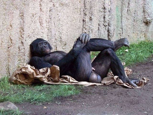 Bildschirmarbeiter - Picdump 01.07.2011