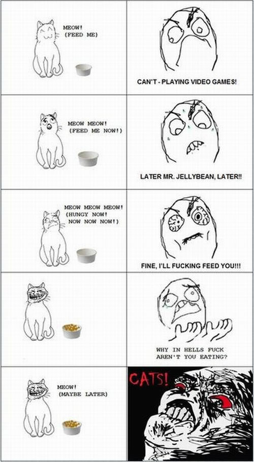 Bildschirmarbeiter - Picdump 01.07.2011