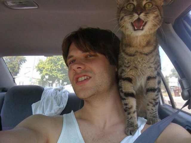 Bildschirmarbeiter - Picdump 01.07.2011