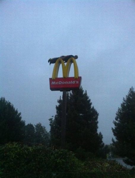 Bildschirmarbeiter - Picdump 01.07.2011