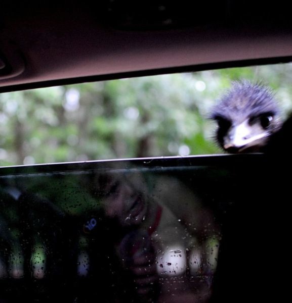 Bildschirmarbeiter - Picdump 01.07.2011