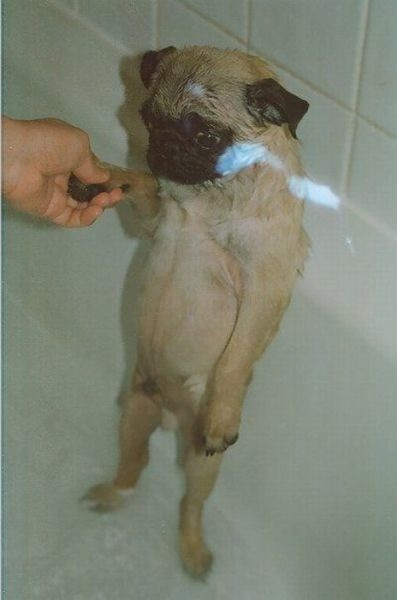 Bildschirmarbeiter - Picdump 01.07.2011