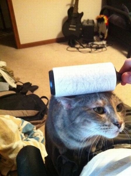 Bildschirmarbeiter - Picdump 01.07.2011