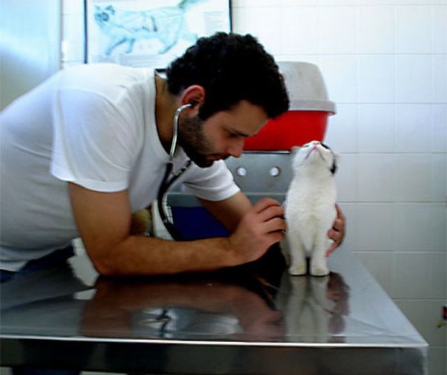 Bildschirmarbeiter - Picdump 29.07.2011