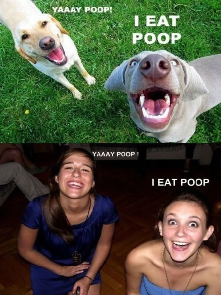 Bildschirmarbeiter - Picdump 29.07.2011