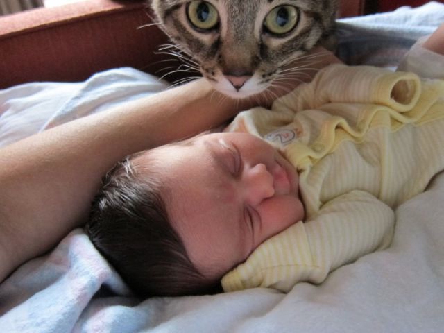 Bildschirmarbeiter - Picdump 29.07.2011