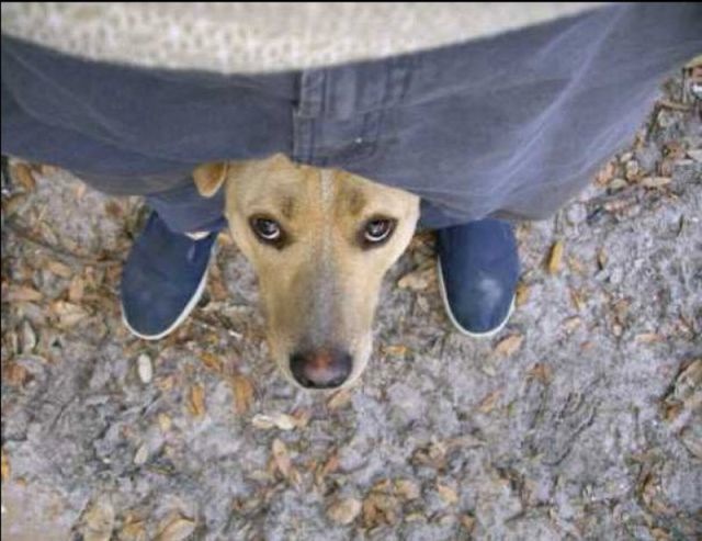 Bildschirmarbeiter - Picdump 29.07.2011