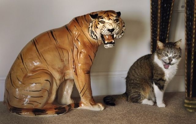 Bildschirmarbeiter - Picdump 29.07.2011