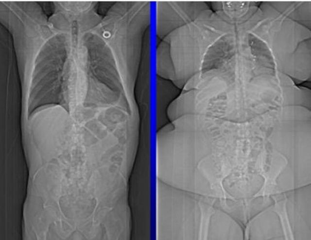 Bildschirmarbeiter - Picdump 29.07.2011