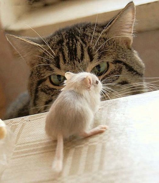 Bildschirmarbeiter - Picdump 29.07.2011