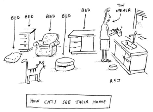 Bildschirmarbeiter - Picdump 05.08.2011