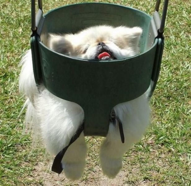 Bildschirmarbeiter - Picdump 05.08.2011