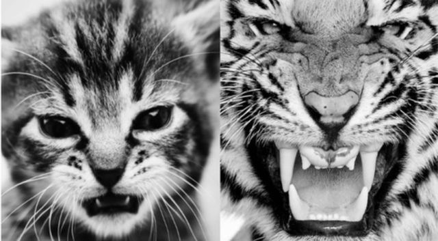 Bildschirmarbeiter - Picdump 05.08.2011