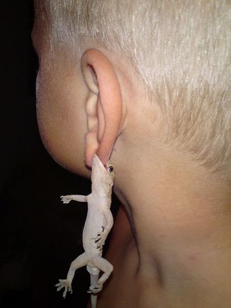 Bildschirmarbeiter - Picdump 05.08.2011