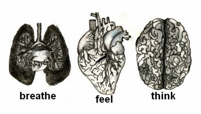 Bildschirmarbeiter - Picdump 05.08.2011