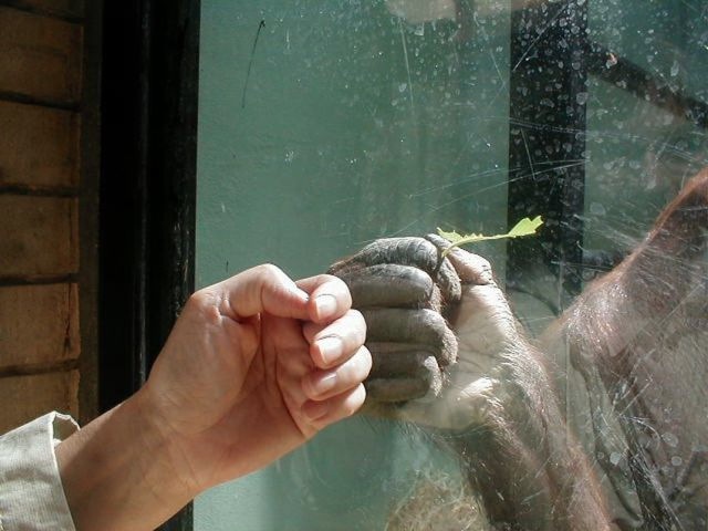 Bildschirmarbeiter - Picdump 12.08.2011