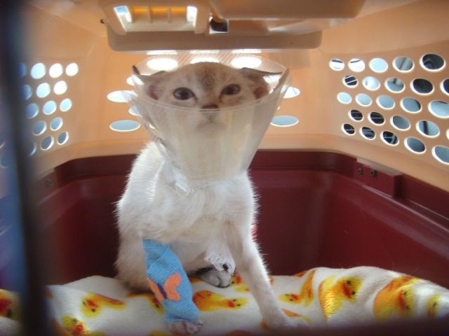 Bildschirmarbeiter - Picdump 12.08.2011