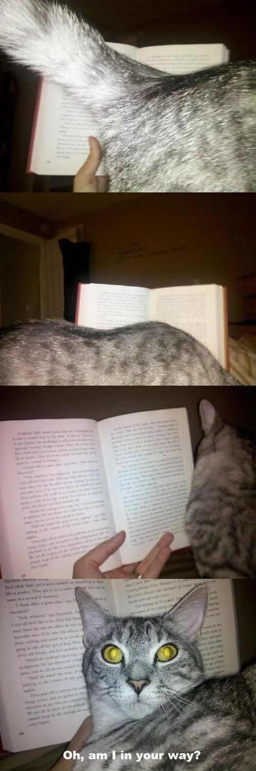 Bildschirmarbeiter - Picdump 12.08.2011