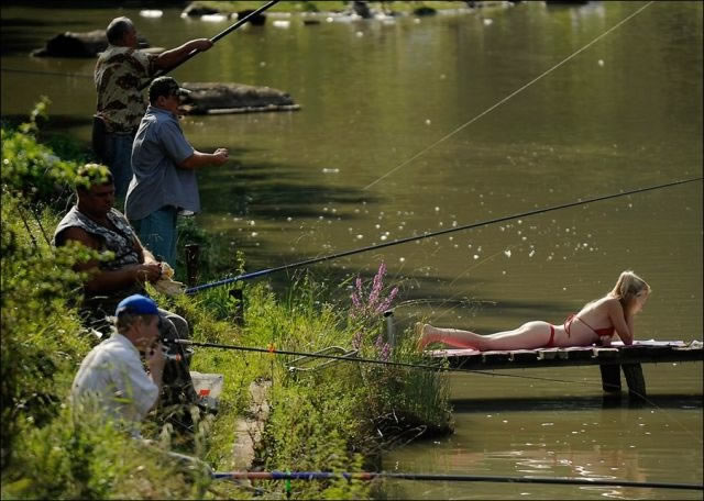 Bildschirmarbeiter - Picdump 12.08.2011