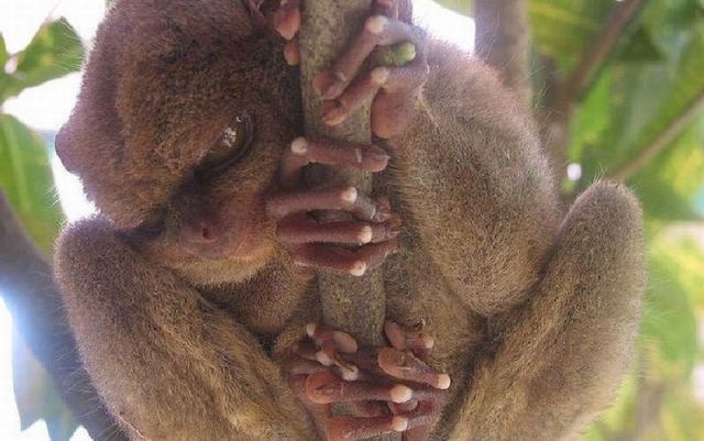 Bildschirmarbeiter - Picdump 12.08.2011