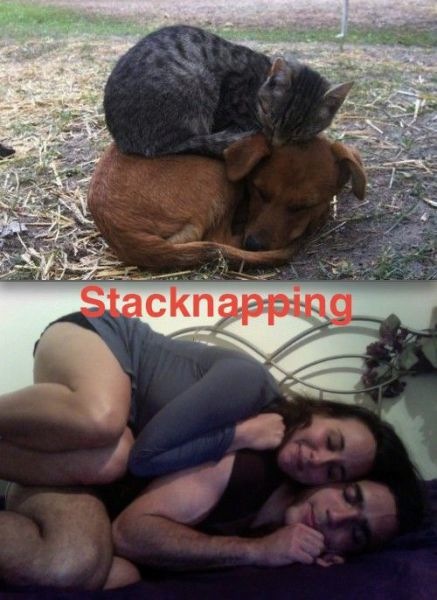 Bildschirmarbeiter - Picdump 12.08.2011