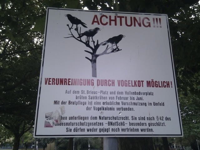 Bildschirmarbeiter - Picdump 12.08.2011