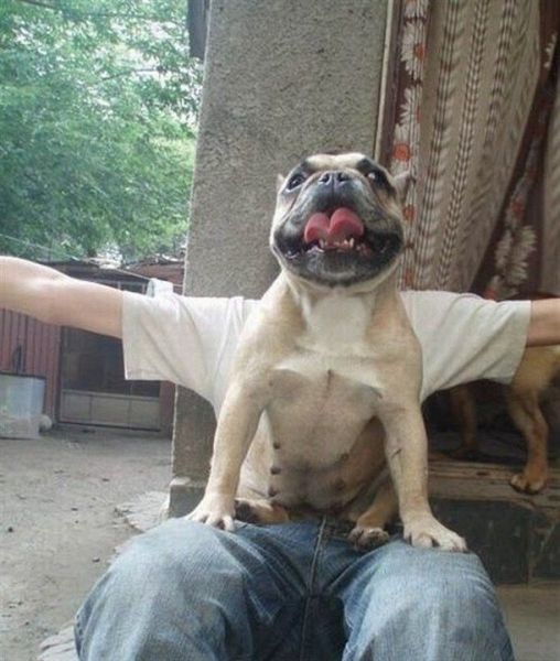 Bildschirmarbeiter - Picdump 12.08.2011