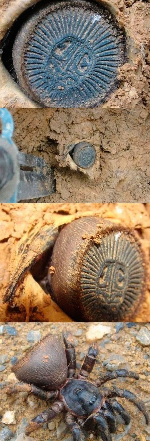 Bildschirmarbeiter - Picdump 12.08.2011