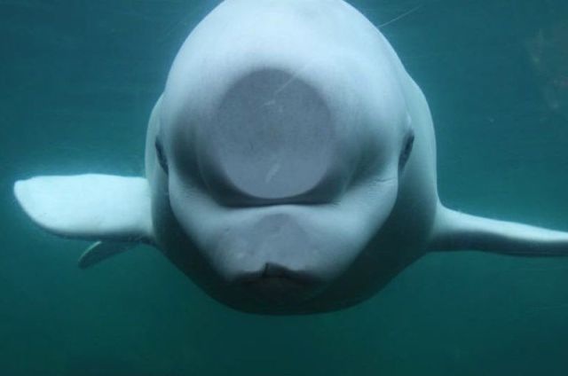 Bildschirmarbeiter - Picdump 12.08.2011