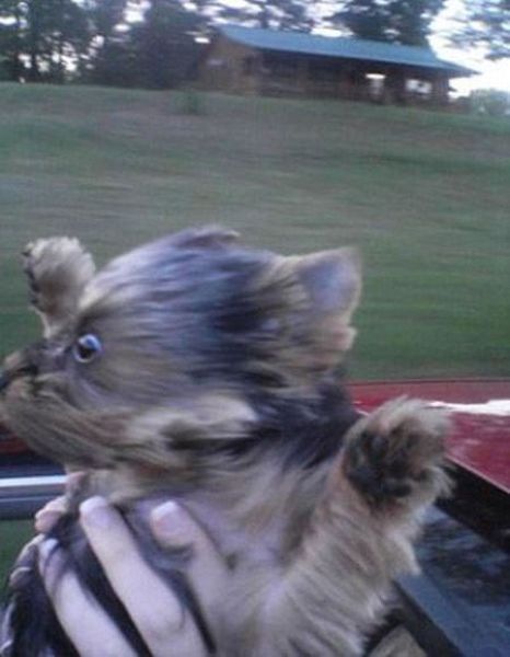 Bildschirmarbeiter - Picdump 12.08.2011