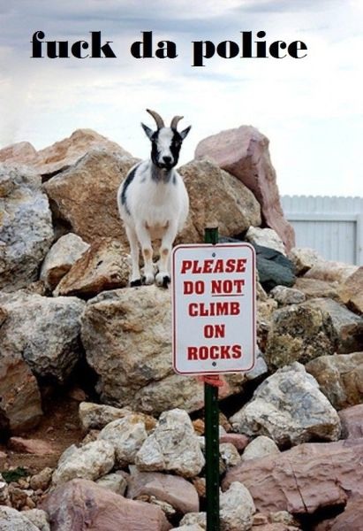 Bildschirmarbeiter - Picdump 19.08.2011