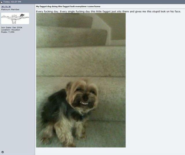 Bildschirmarbeiter - Picdump 19.08.2011