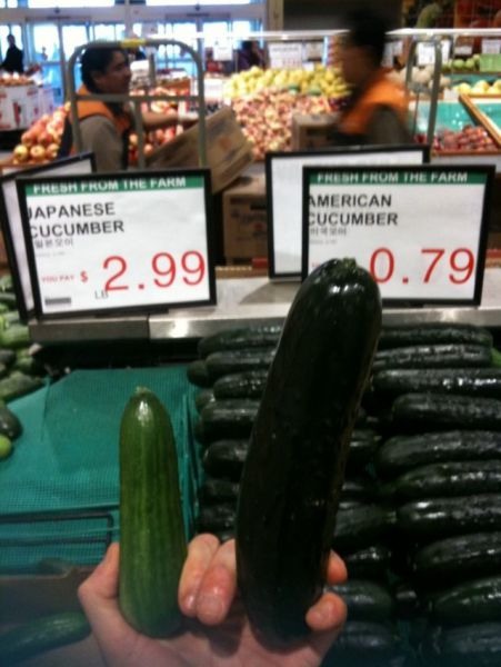 Bildschirmarbeiter - Picdump 19.08.2011