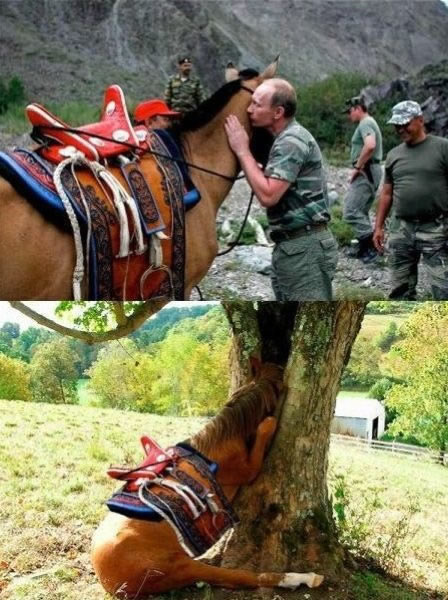 Bildschirmarbeiter - Picdump 19.08.2011