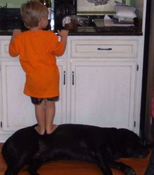 Bildschirmarbeiter - Picdump 26.08.2011