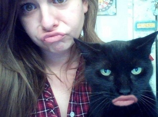 Bildschirmarbeiter - Picdump 26.08.2011